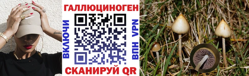 Галлюциногенные грибы Psilocybine cubensis Котово
